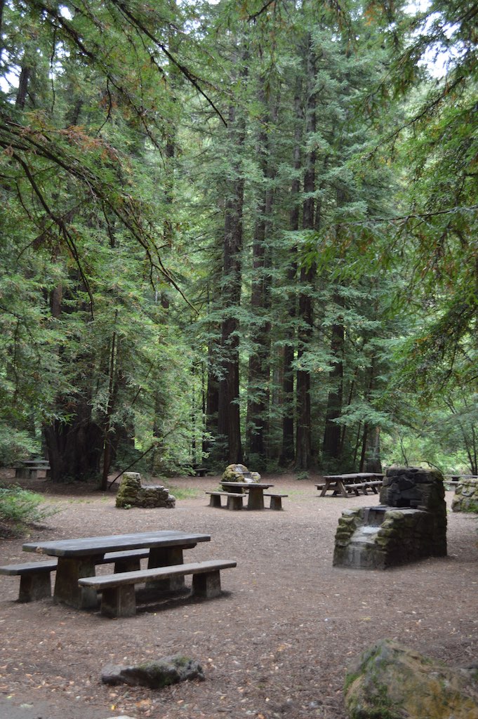 Campsite