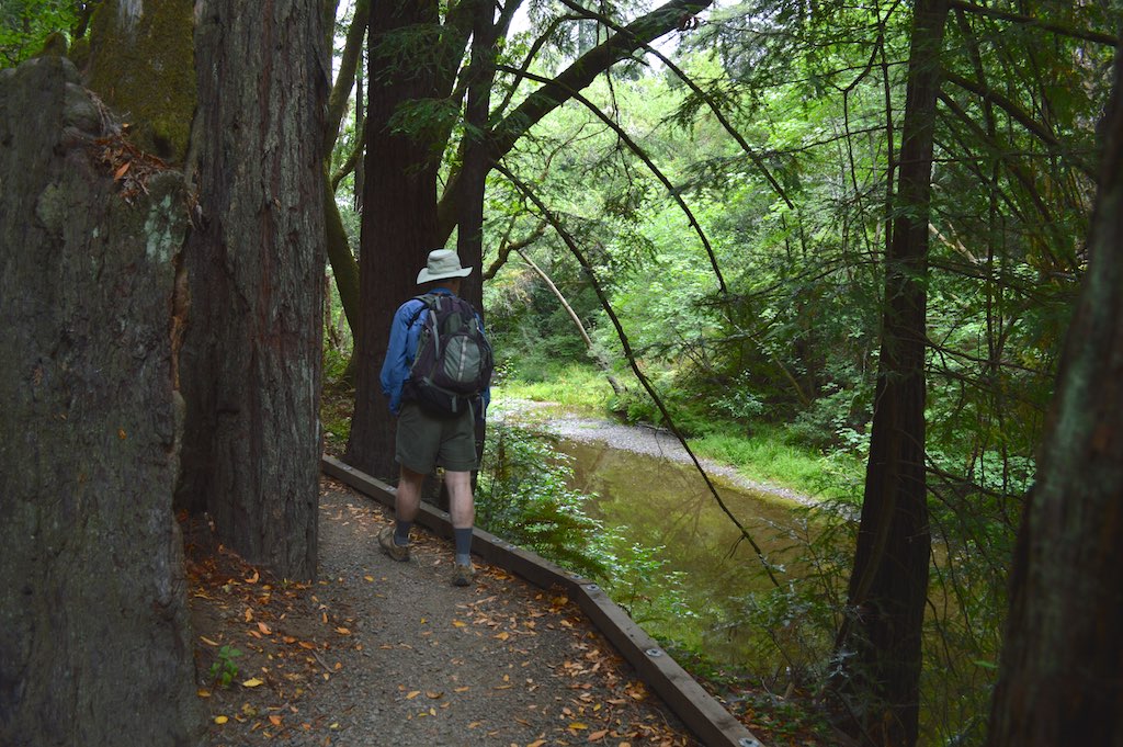 Hiker along Lagunitas Creek