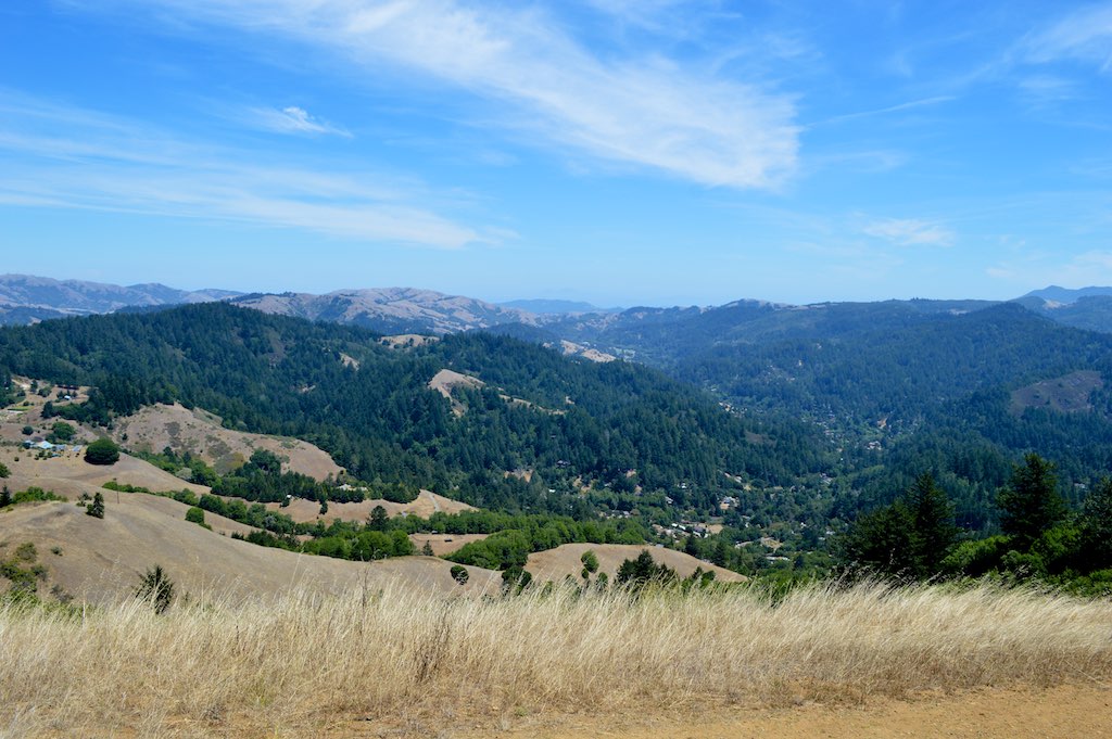 Samuel P. Taylor State Park