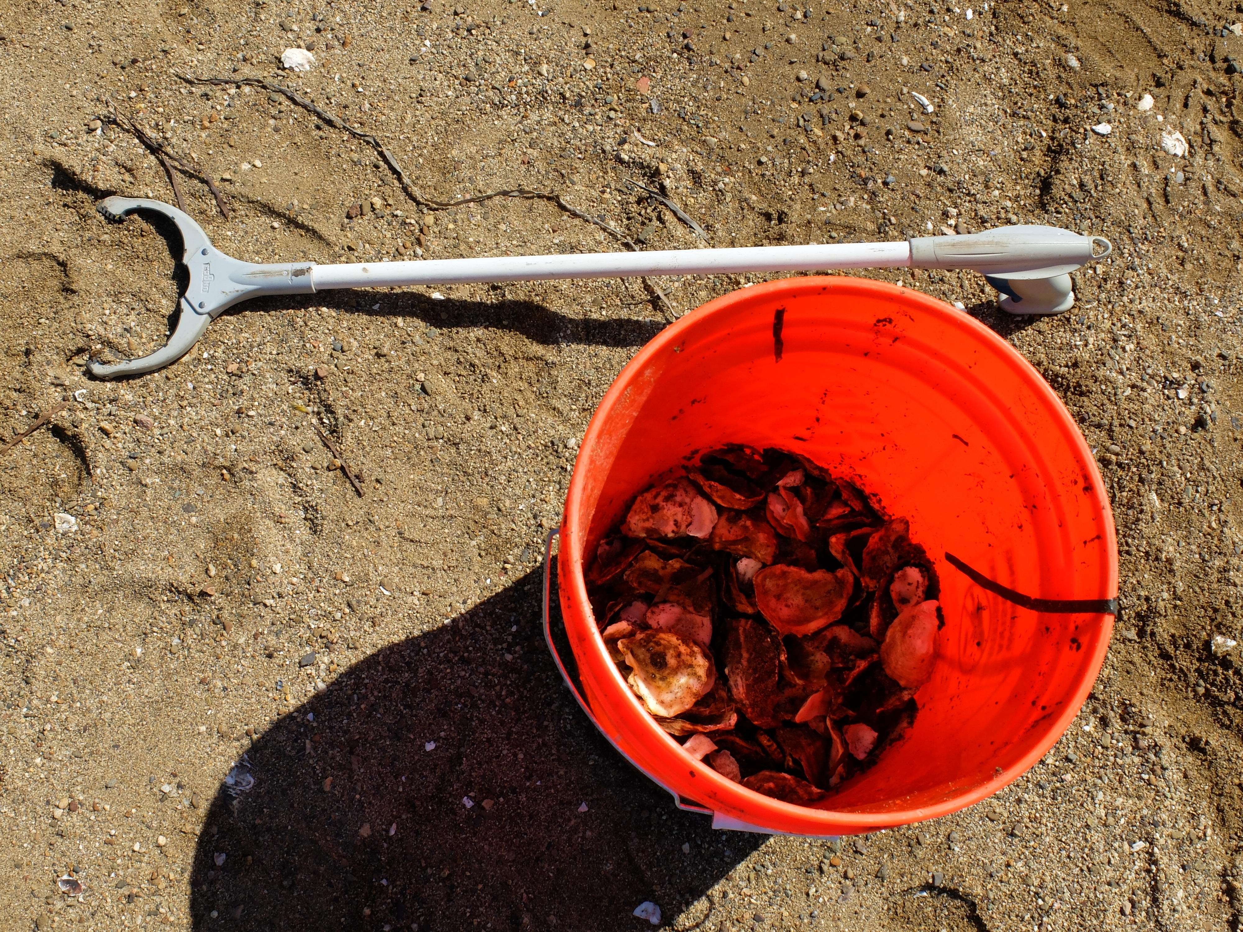 NOAA Beach Clean-Up