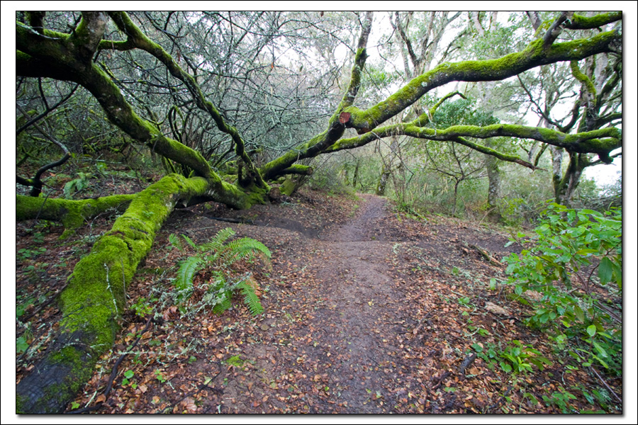 Tomales Bay State Park