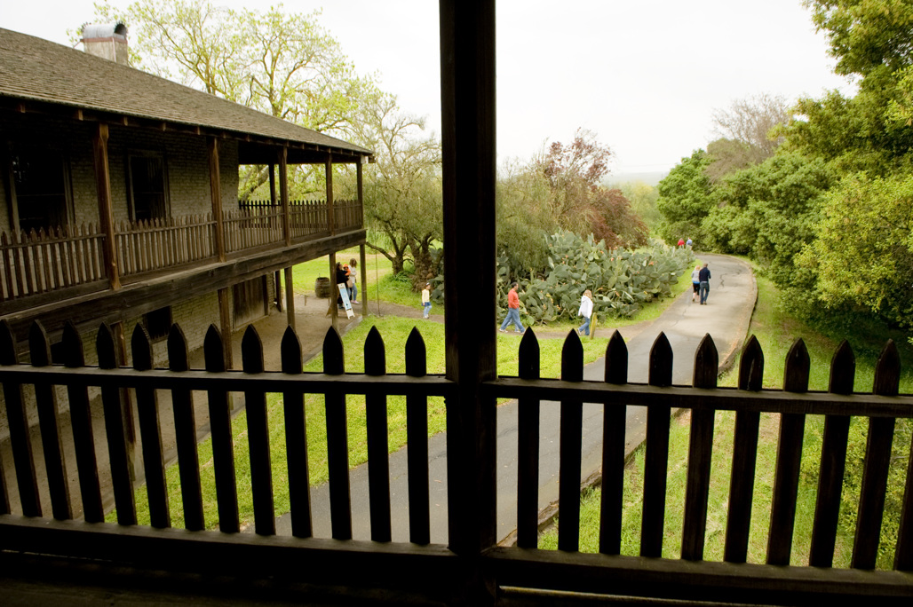 PASHP Tours and Activities