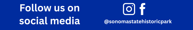 Social Media Banner