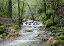 Park image