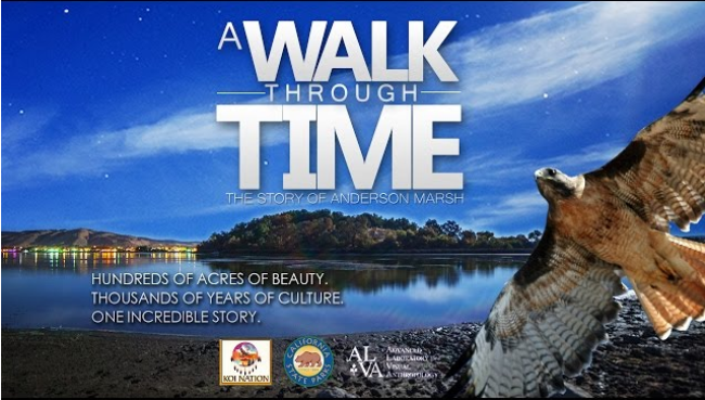 A walk through time