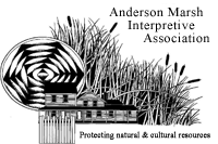 AM Interpretive logo