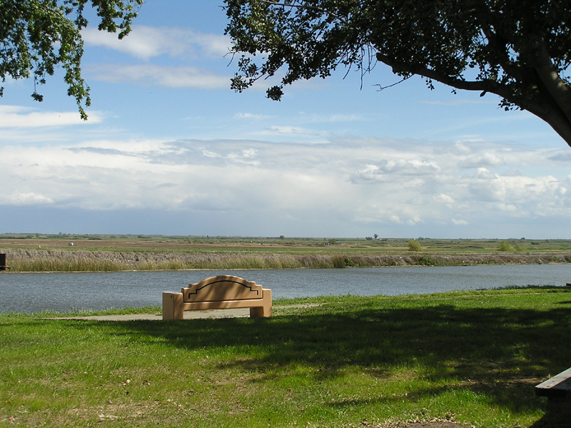 Brannan Island image