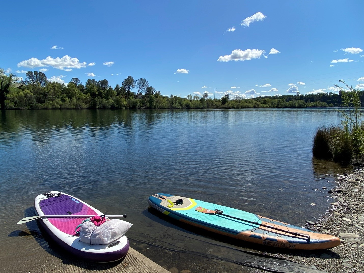 Paddleboards