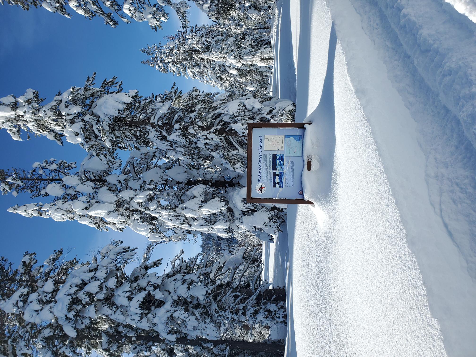 Interpretive sign on groomed ski trail