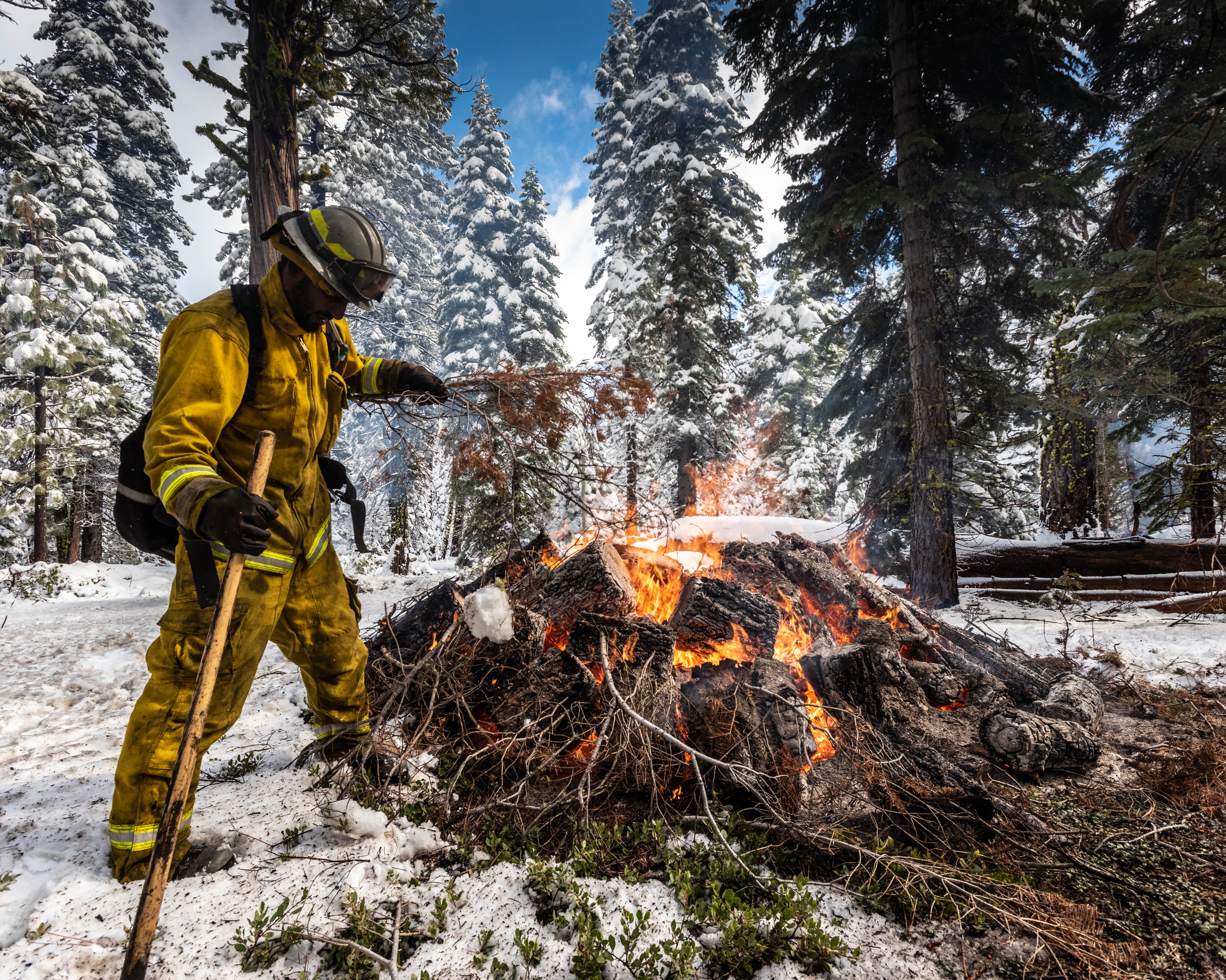 Prescribed Burn