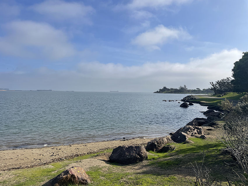 shoreline view