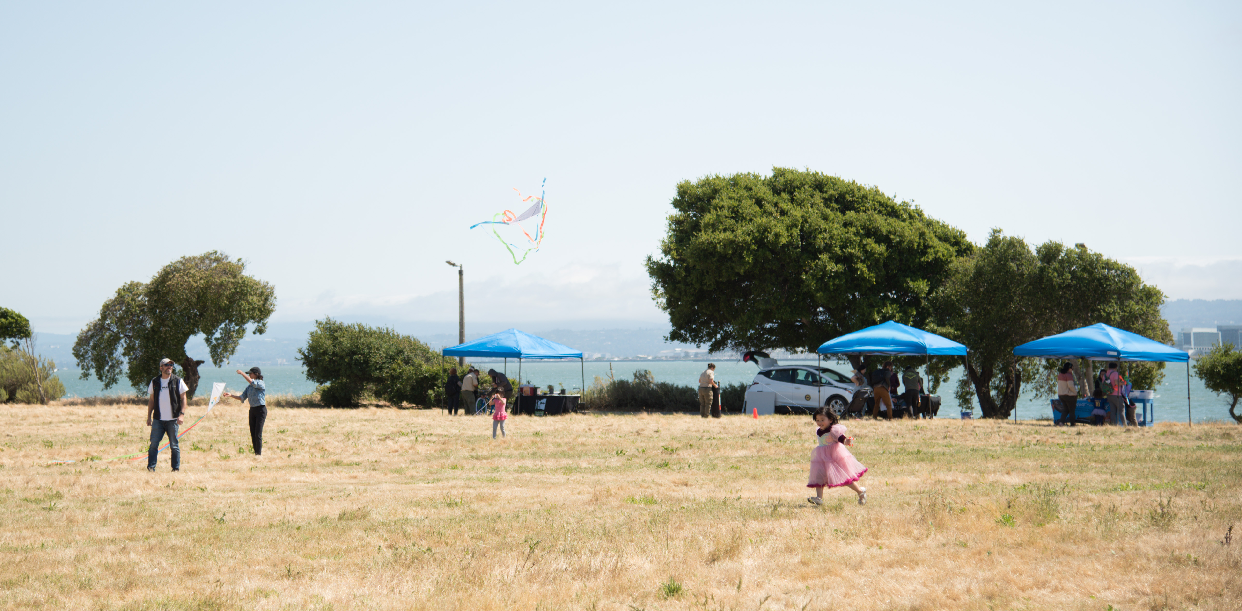 girl in a tutu flying a kite in a field