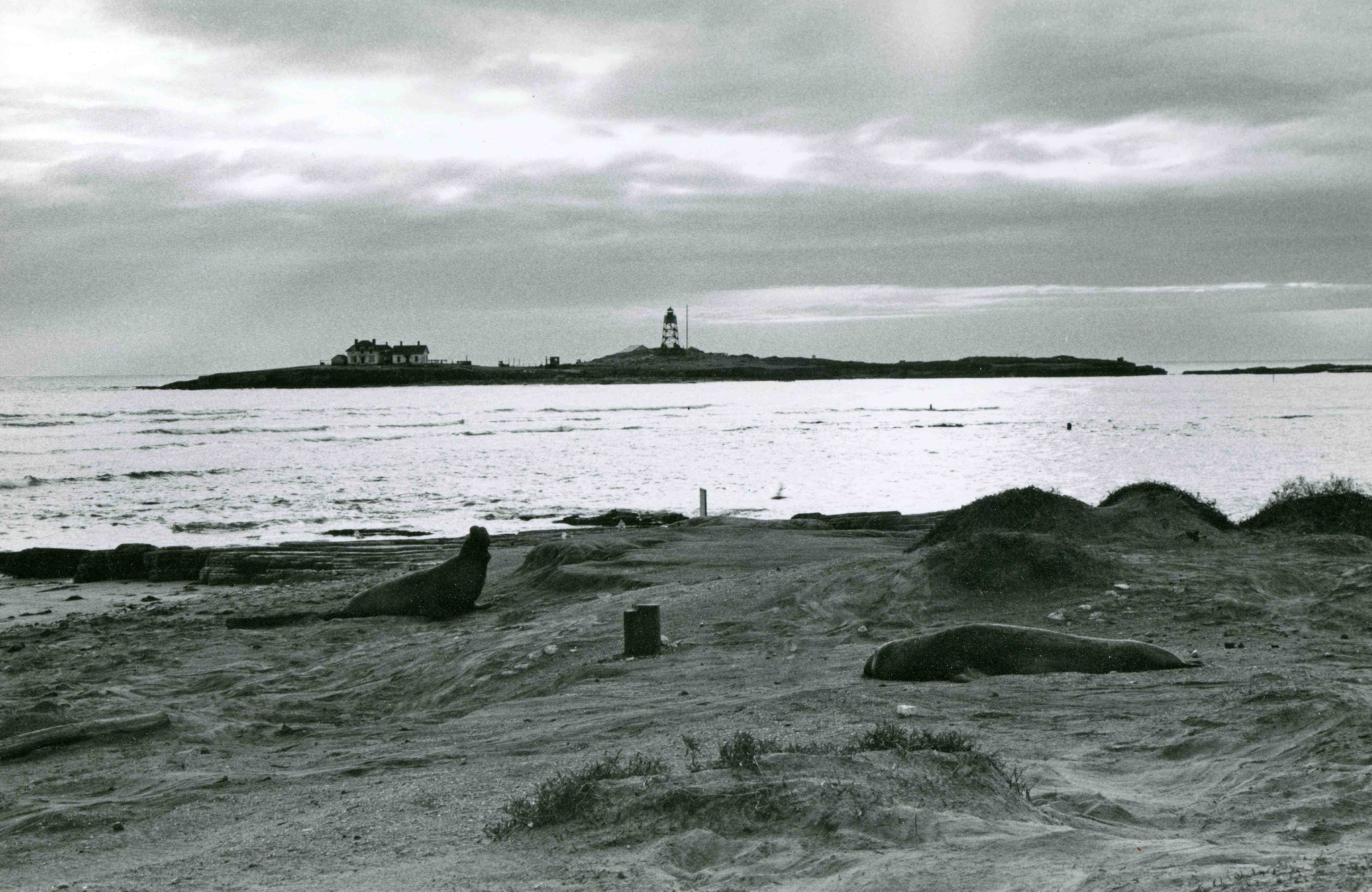 Ano Island