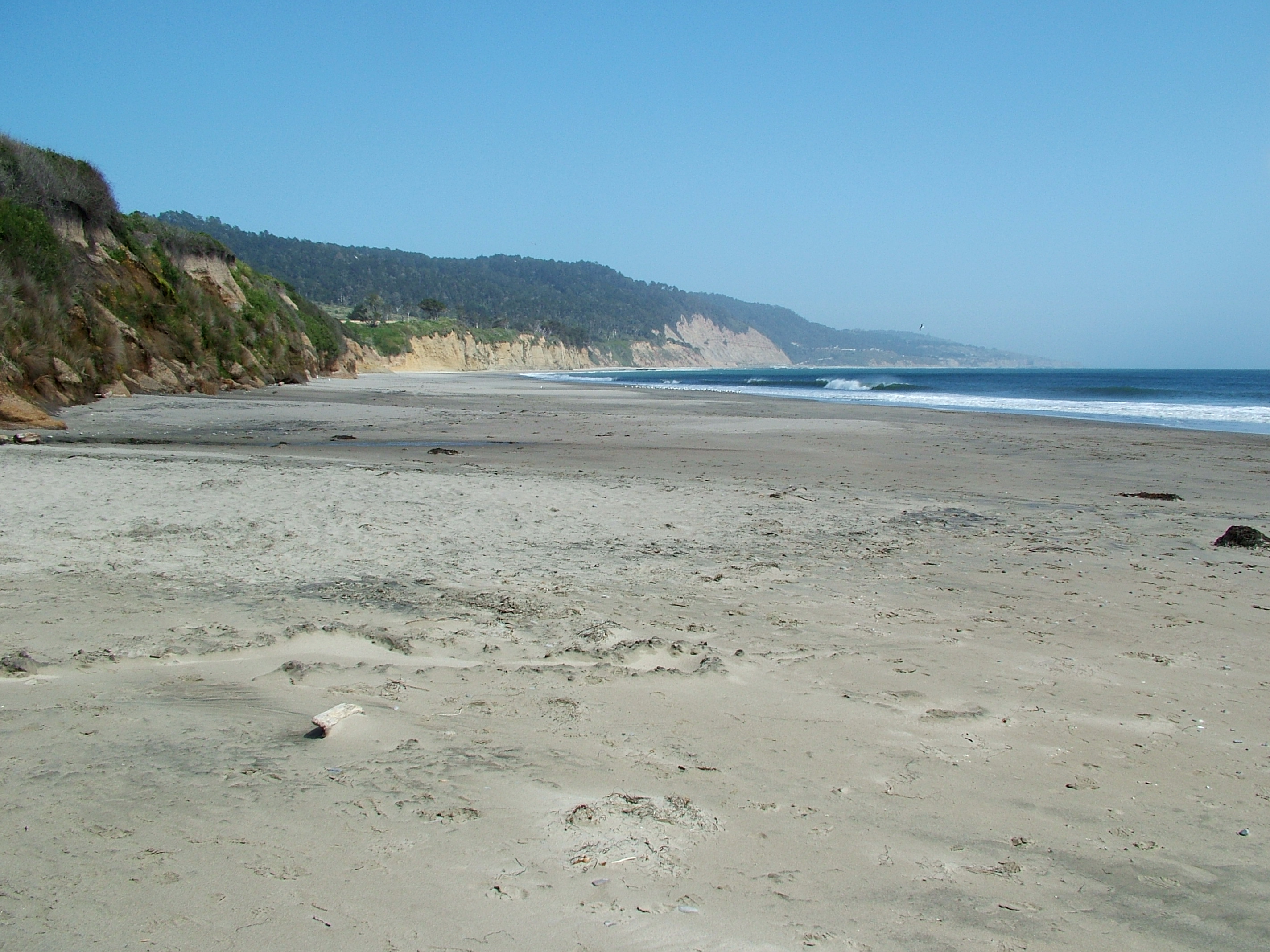 Cove Beach