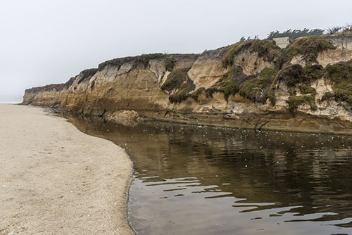 Half Moon Bay coast image