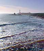 Punta de las Balenas