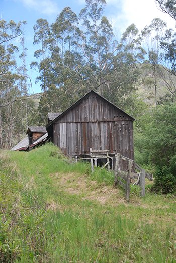 Park building side image