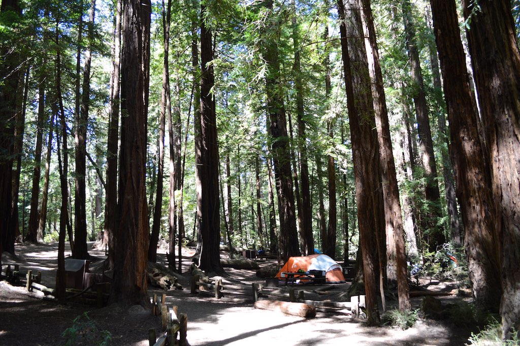 Campsites