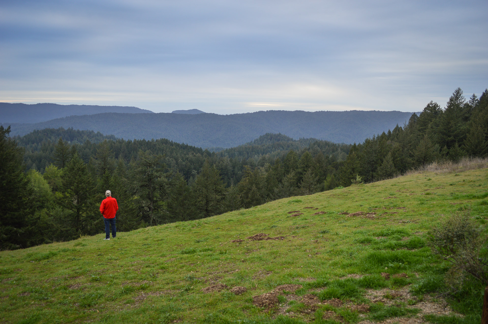 Ridgetop grassland