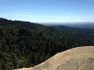 Goat Rock Outlook at Castle Rock State Park