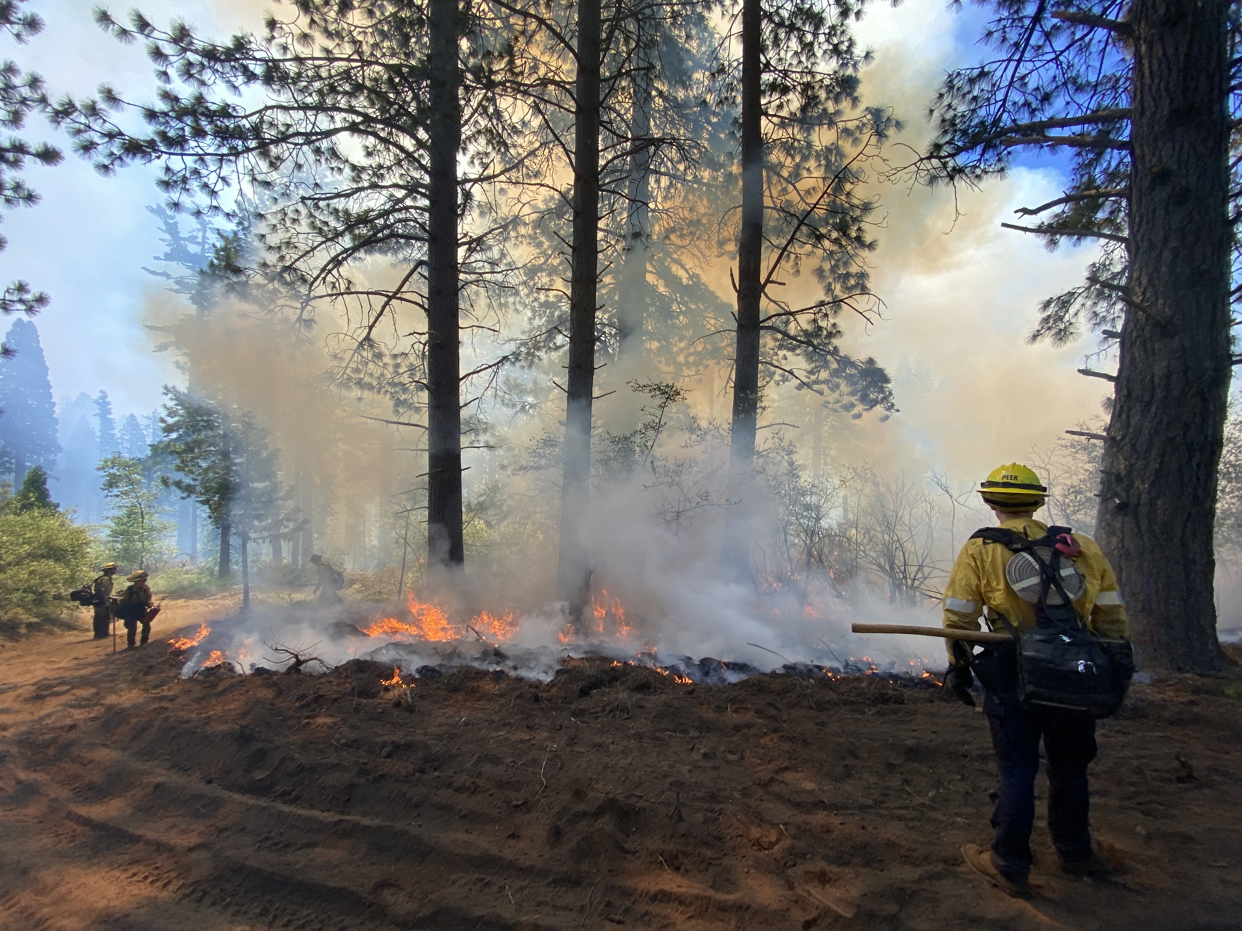 Fire crew standing near smoke and fire