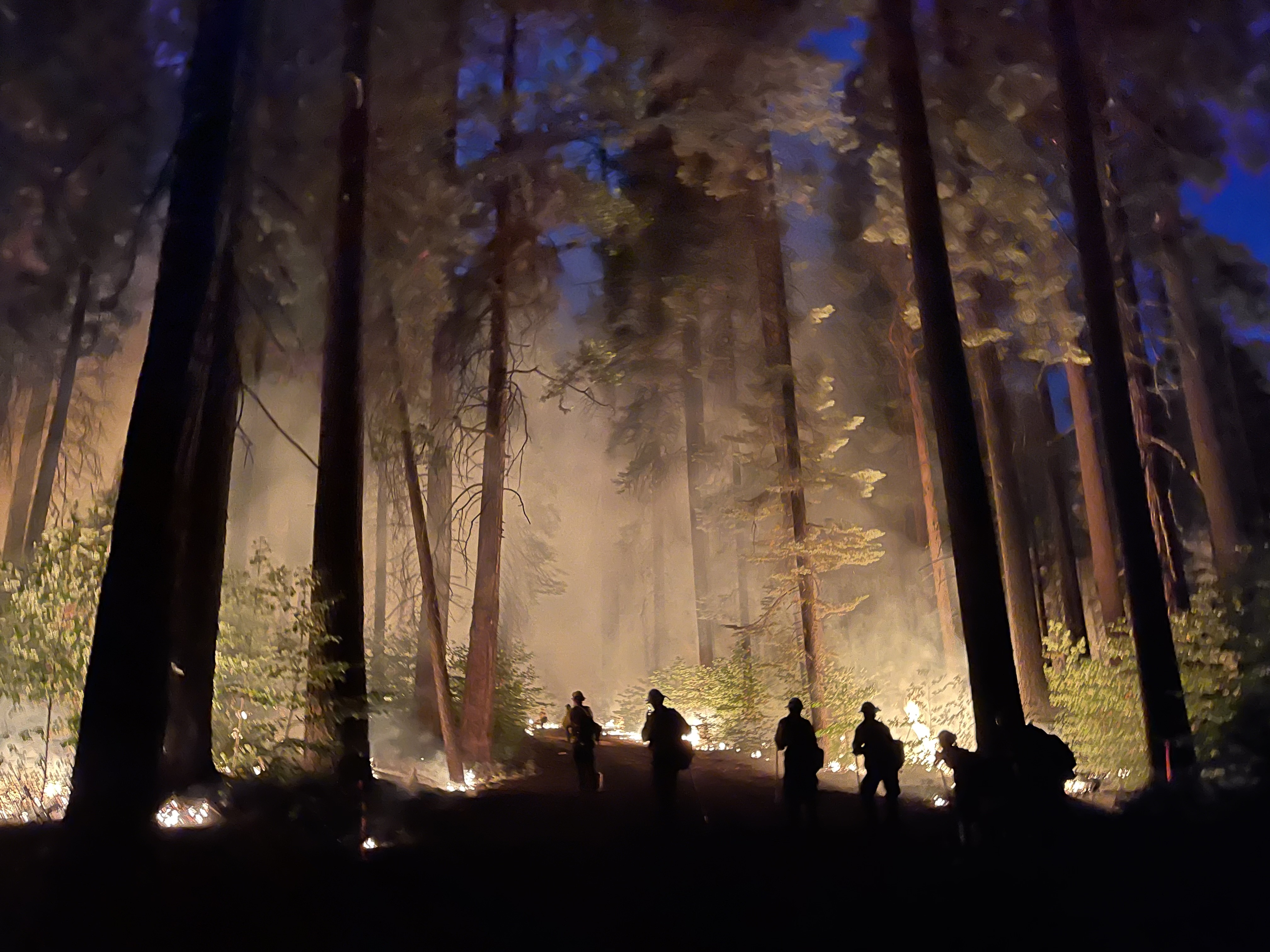 Prescribed fire at night