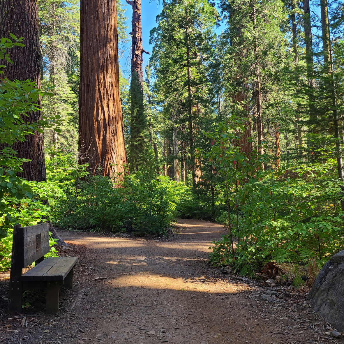 Trails and more