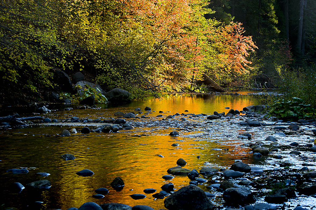 River Image 