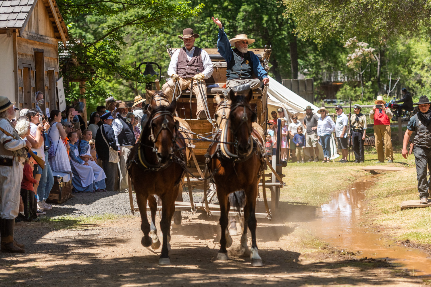 Horses Pulling a Stagecoach 