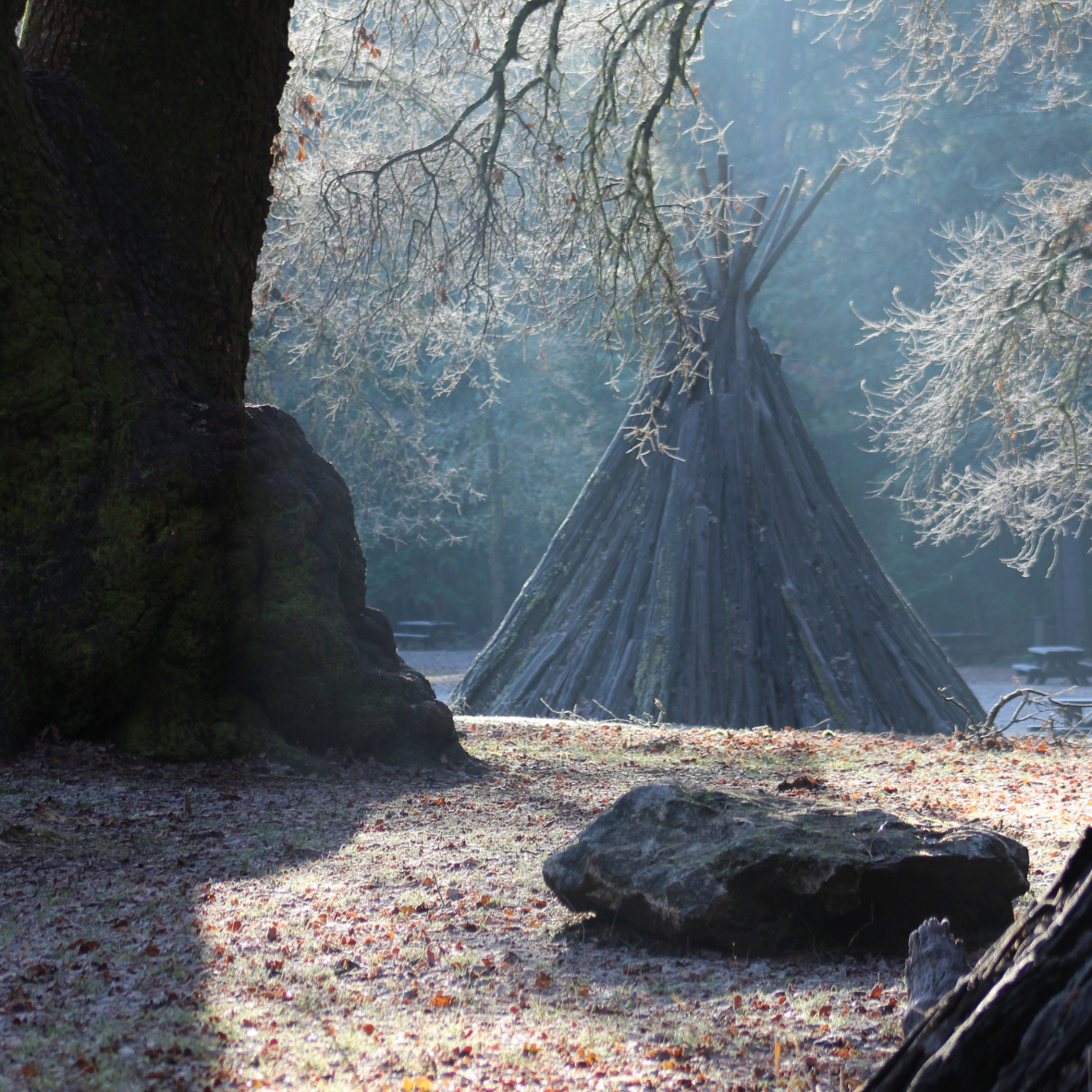 Bark house with steam rising on cold day among trees 