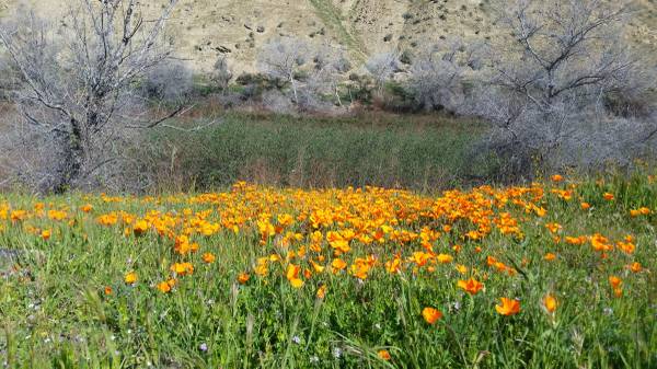 Path of Padres Hike