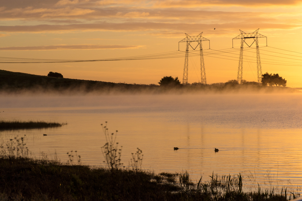 Sunset, water, and power lines