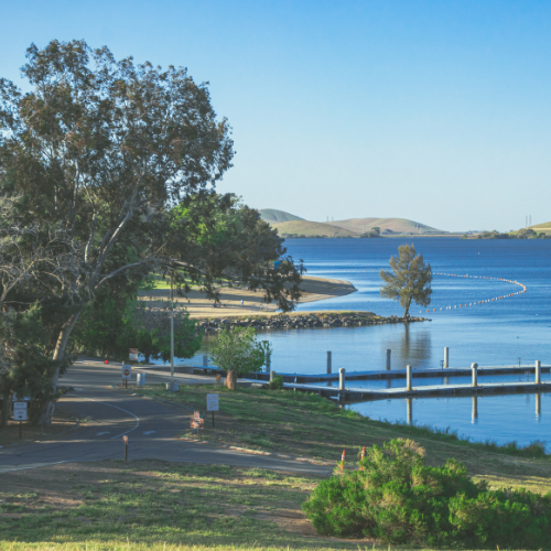 View of water and trees