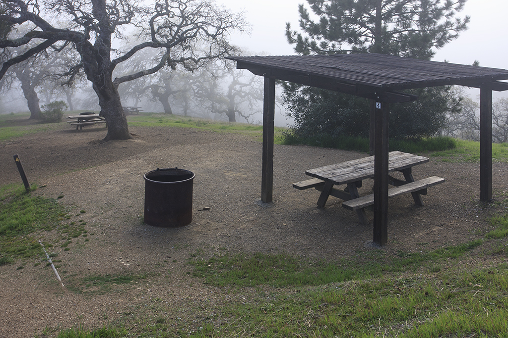 Campground 4