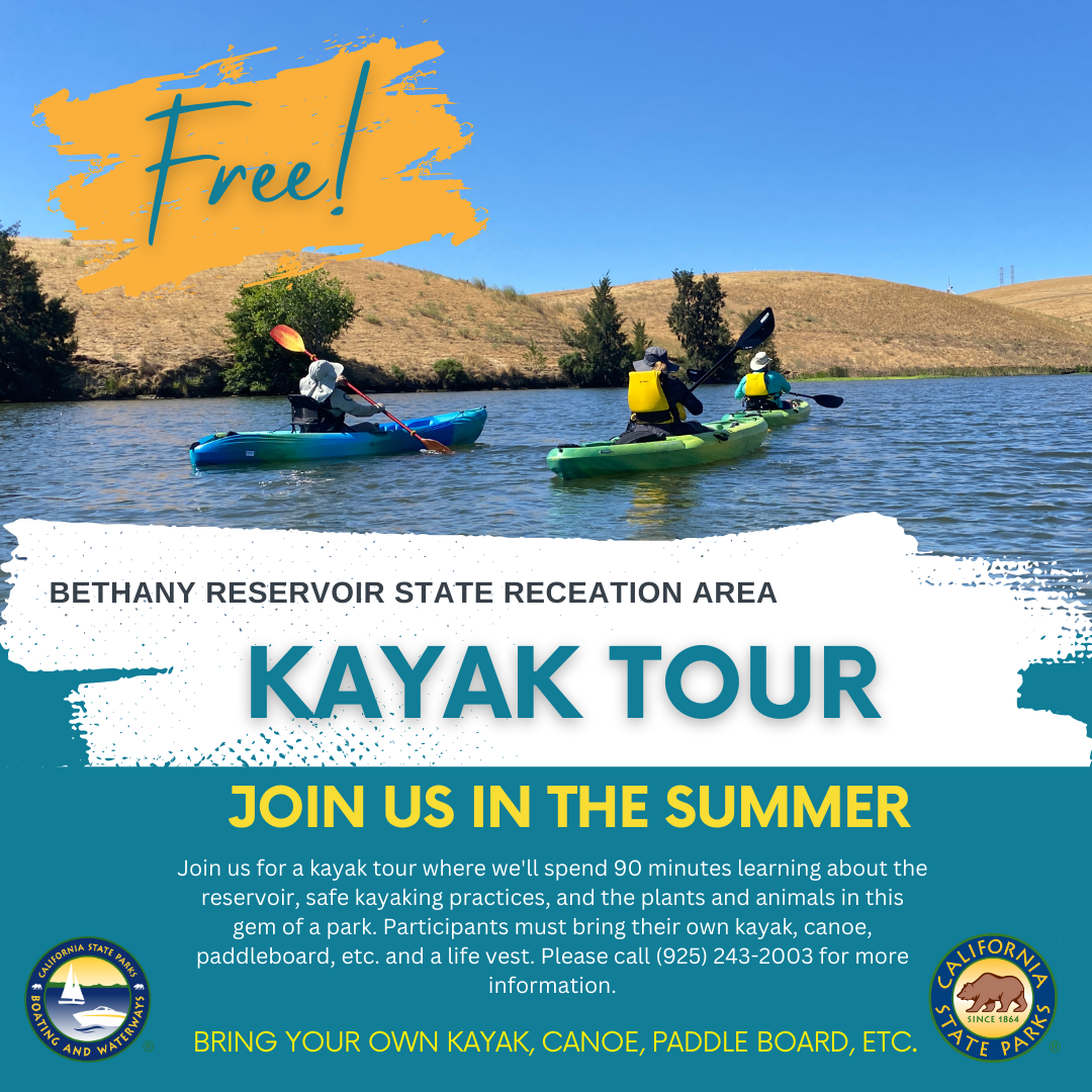 Kayak Tour
