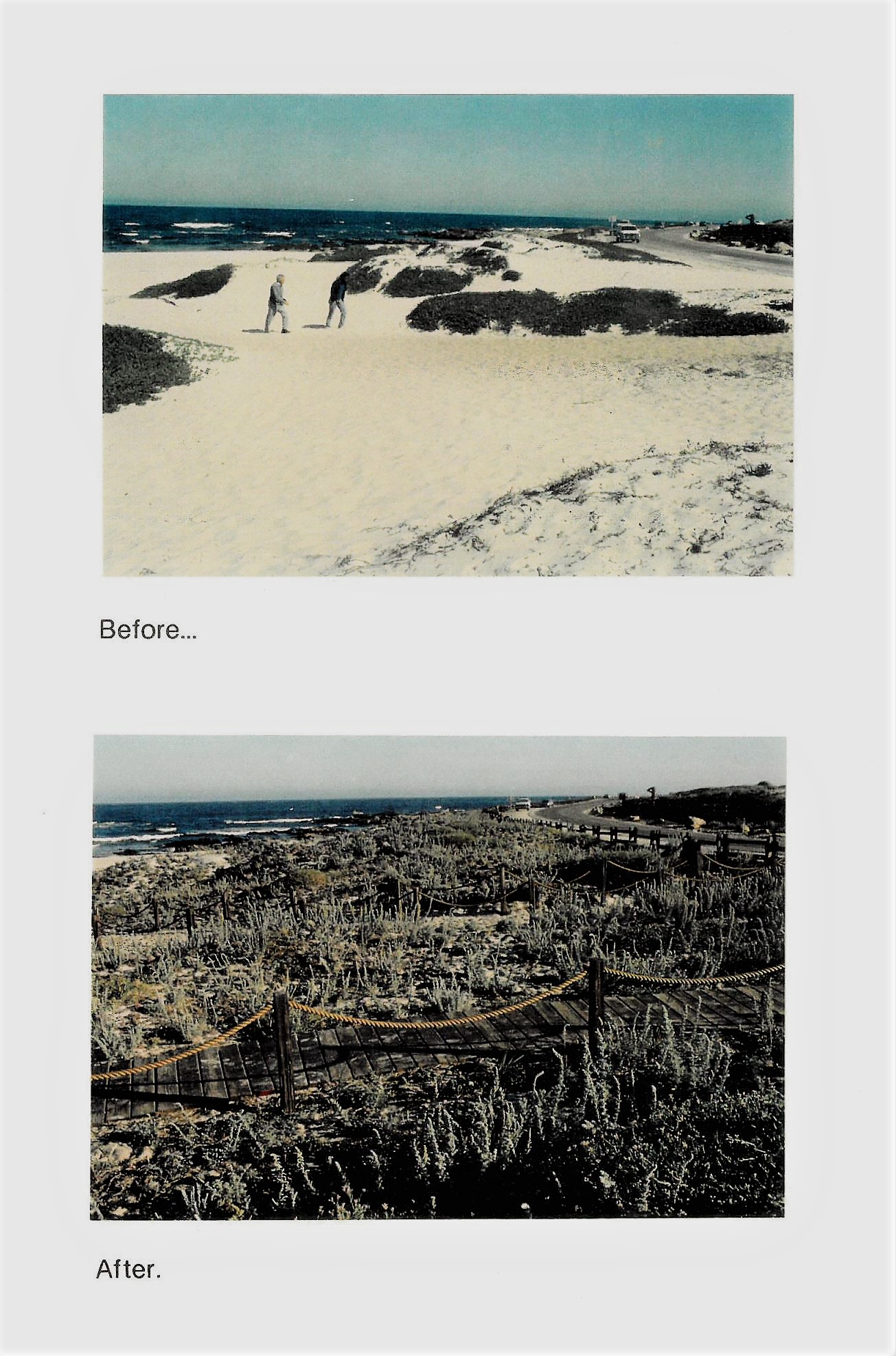 Before-After Beach Restoration Image Before-After Beach Restoration Image