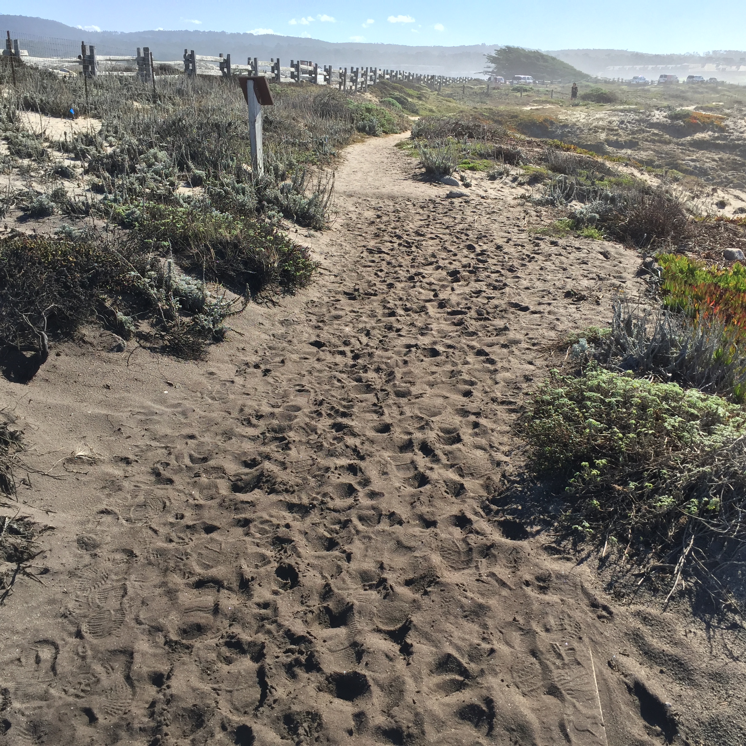 Widened Trail