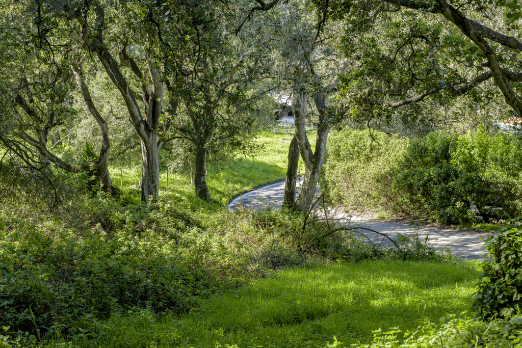 Trail at Ishxenta State Park