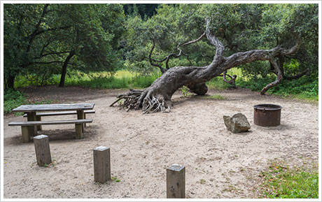 campsite