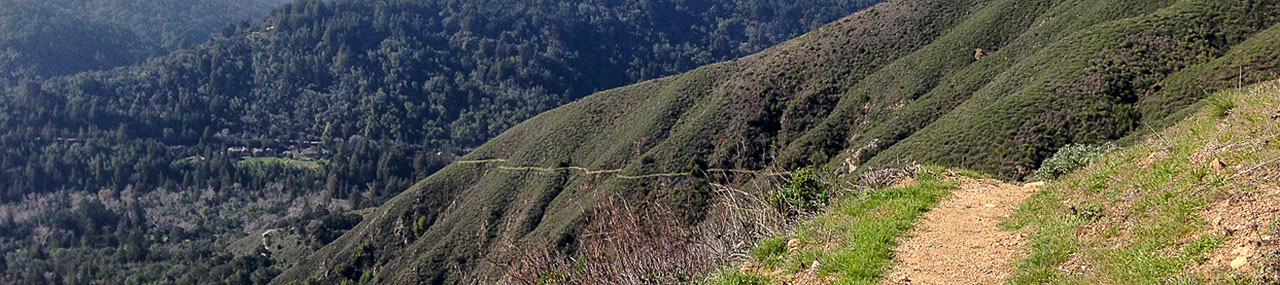 Mt Manuel trail