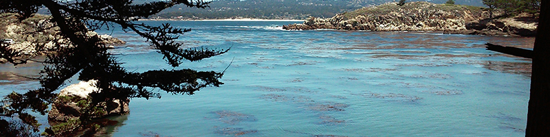 Whaler's Cove