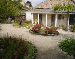 Casa Soberanes Garden