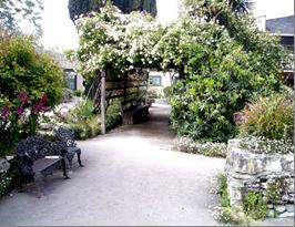 Larkin House Garden
