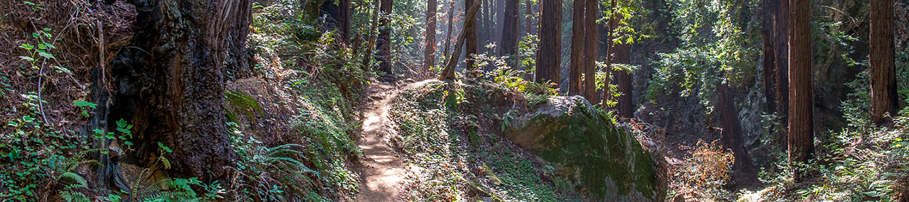 Ewoldsen Trail