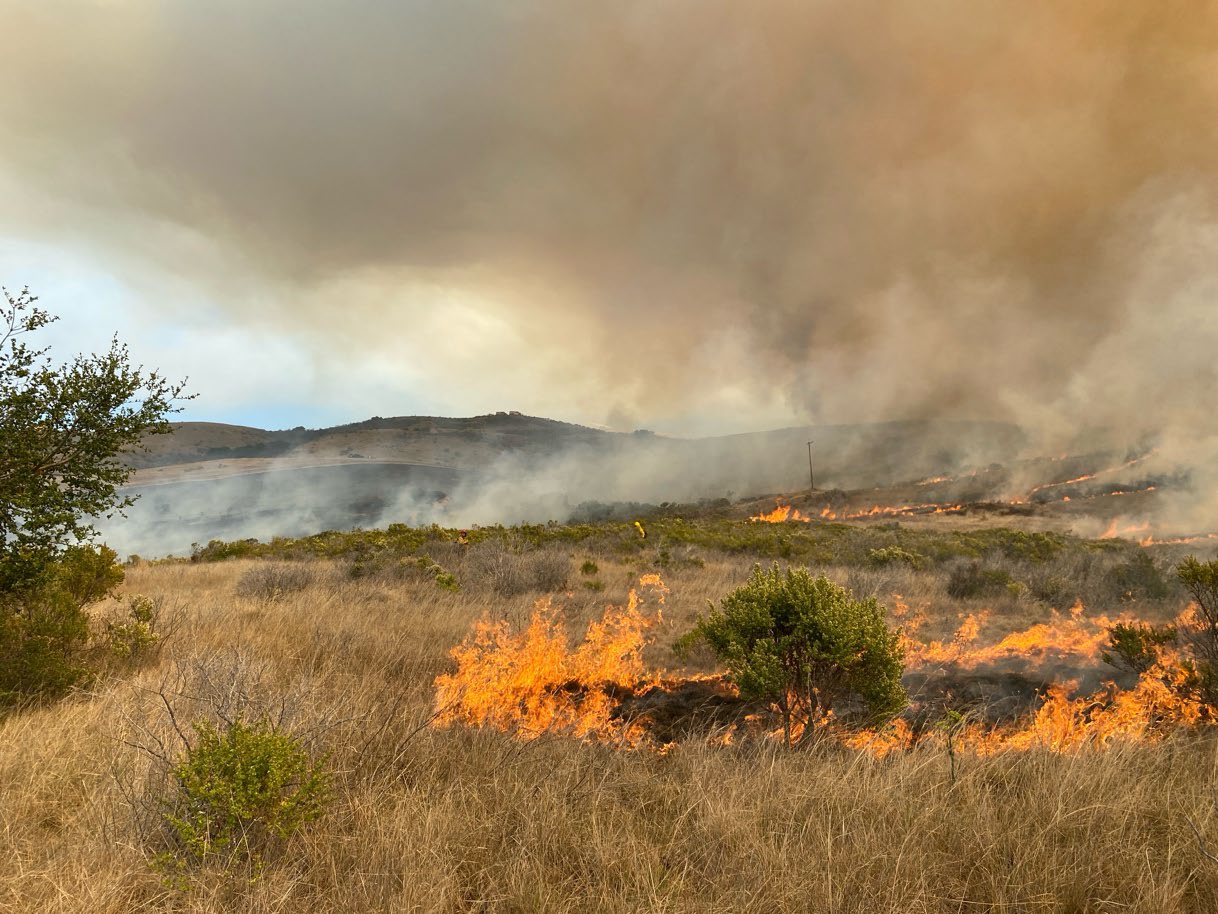 Prescribed burn at Andrew Molera State Park in October 2022.