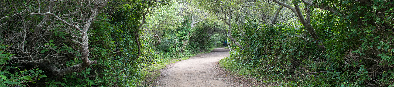 Headlands Trail