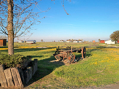 The landscape of Allensworth