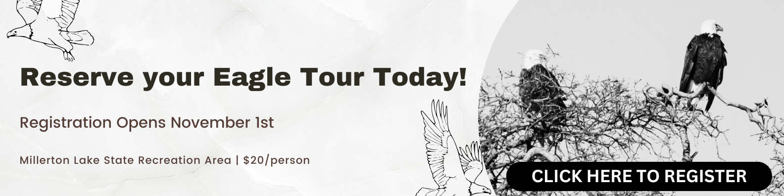Eagle Tours Banner
