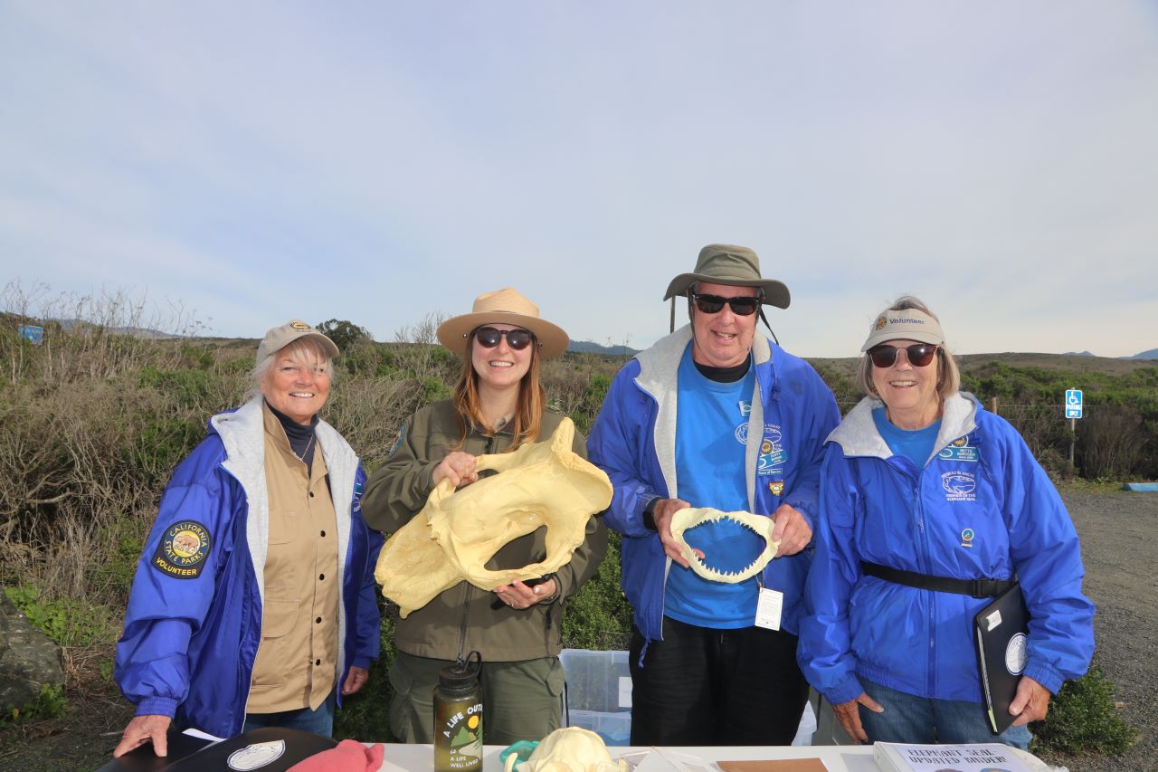 Elephant Seal School Group Program images