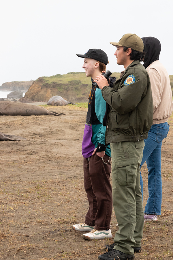 Elephant Seal Tour